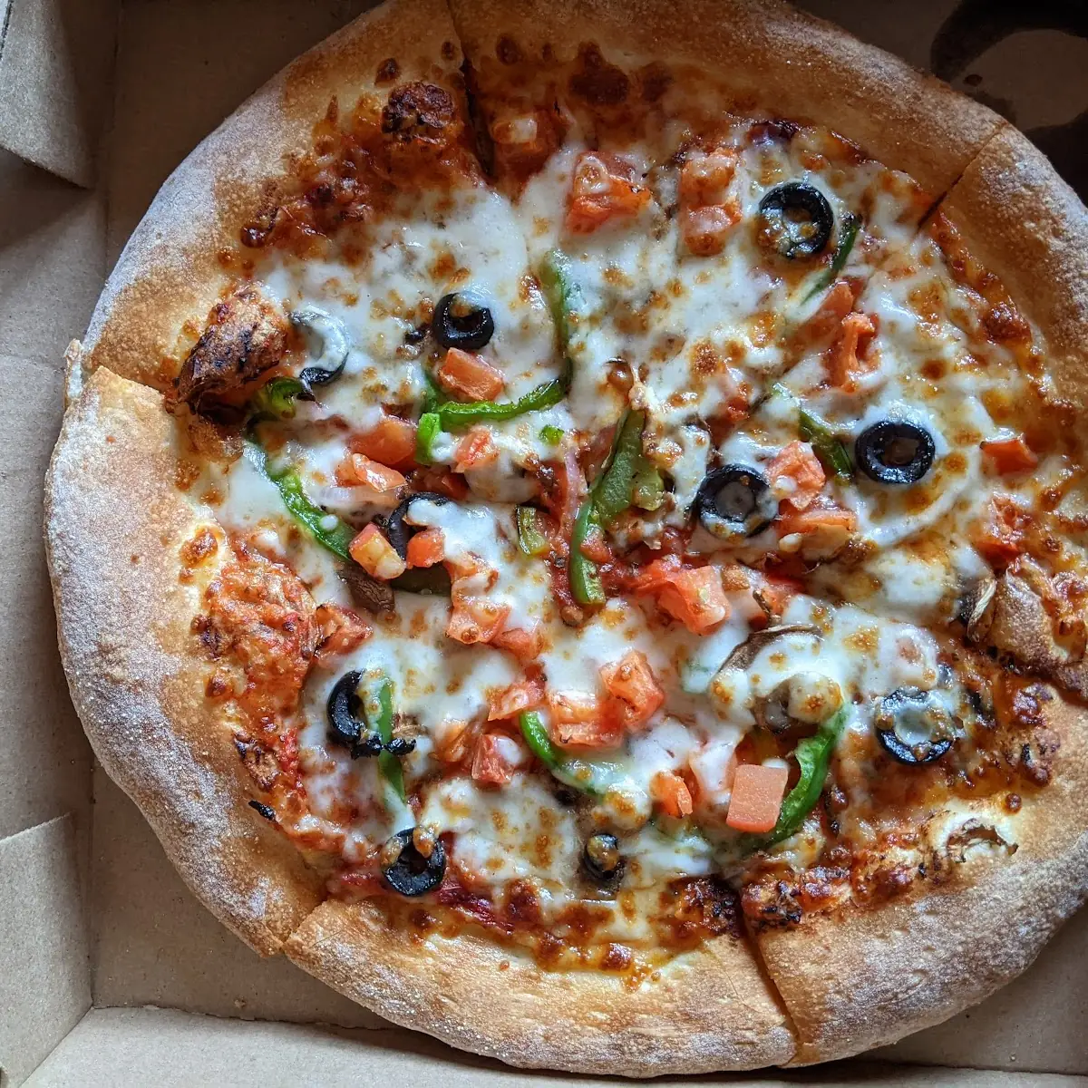 All Veggie Pizza