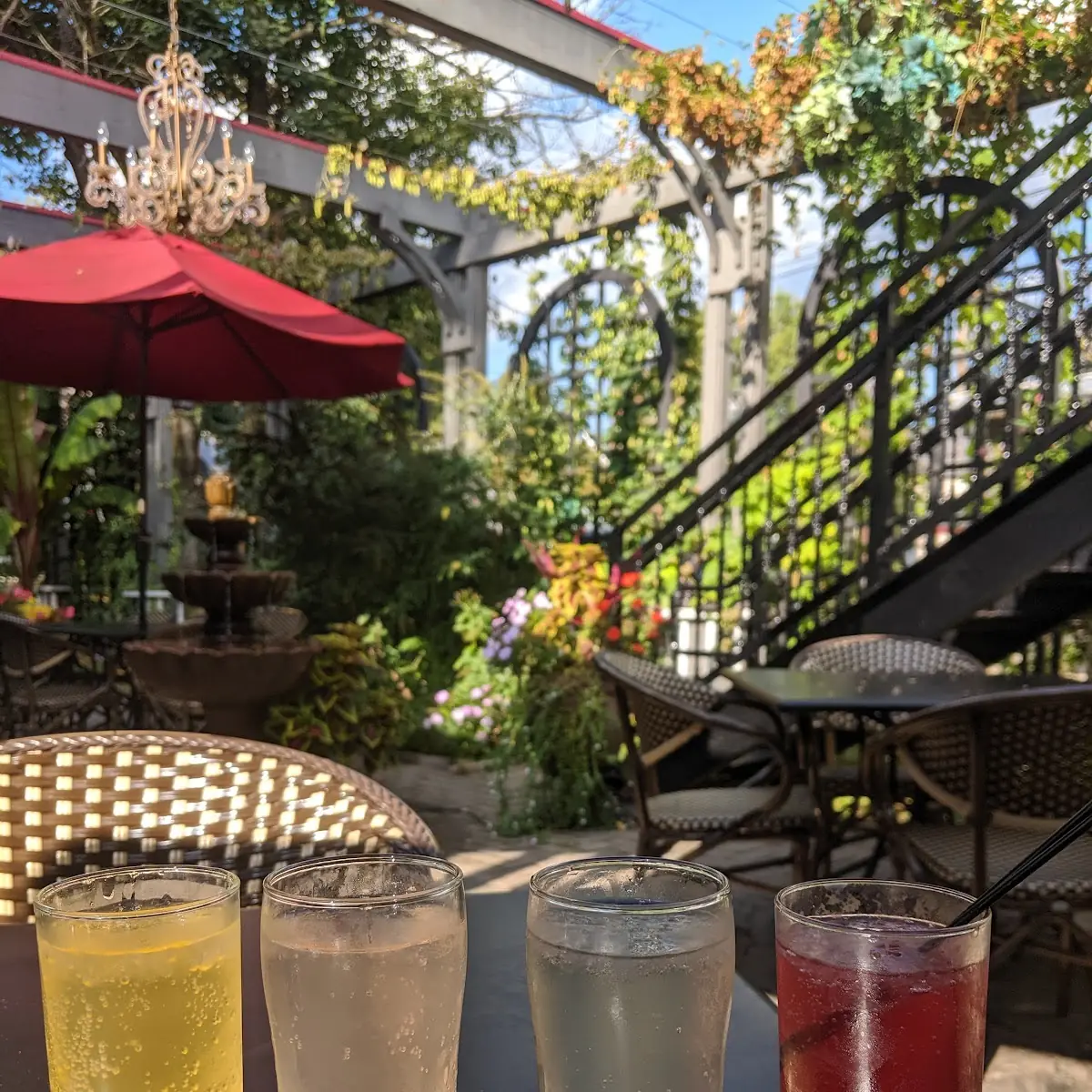 Mimosa Flight