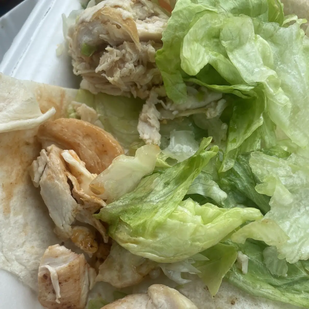 Chicken Caesar Wrap