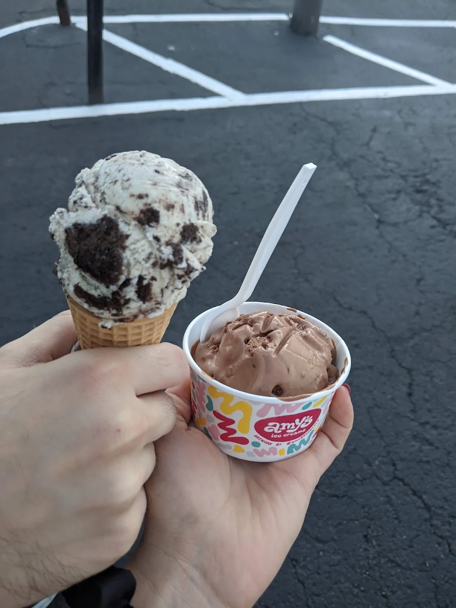 Chocolate Peanut Butter Ice cr