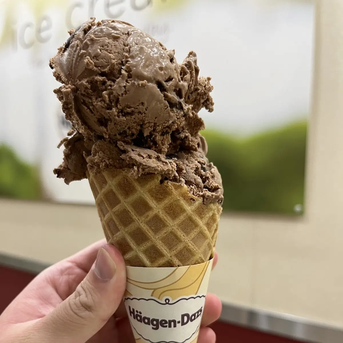 Belgian Chocolate Ice Cream