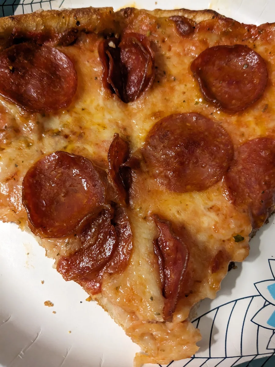 Cheese and Pepperoni Pizza