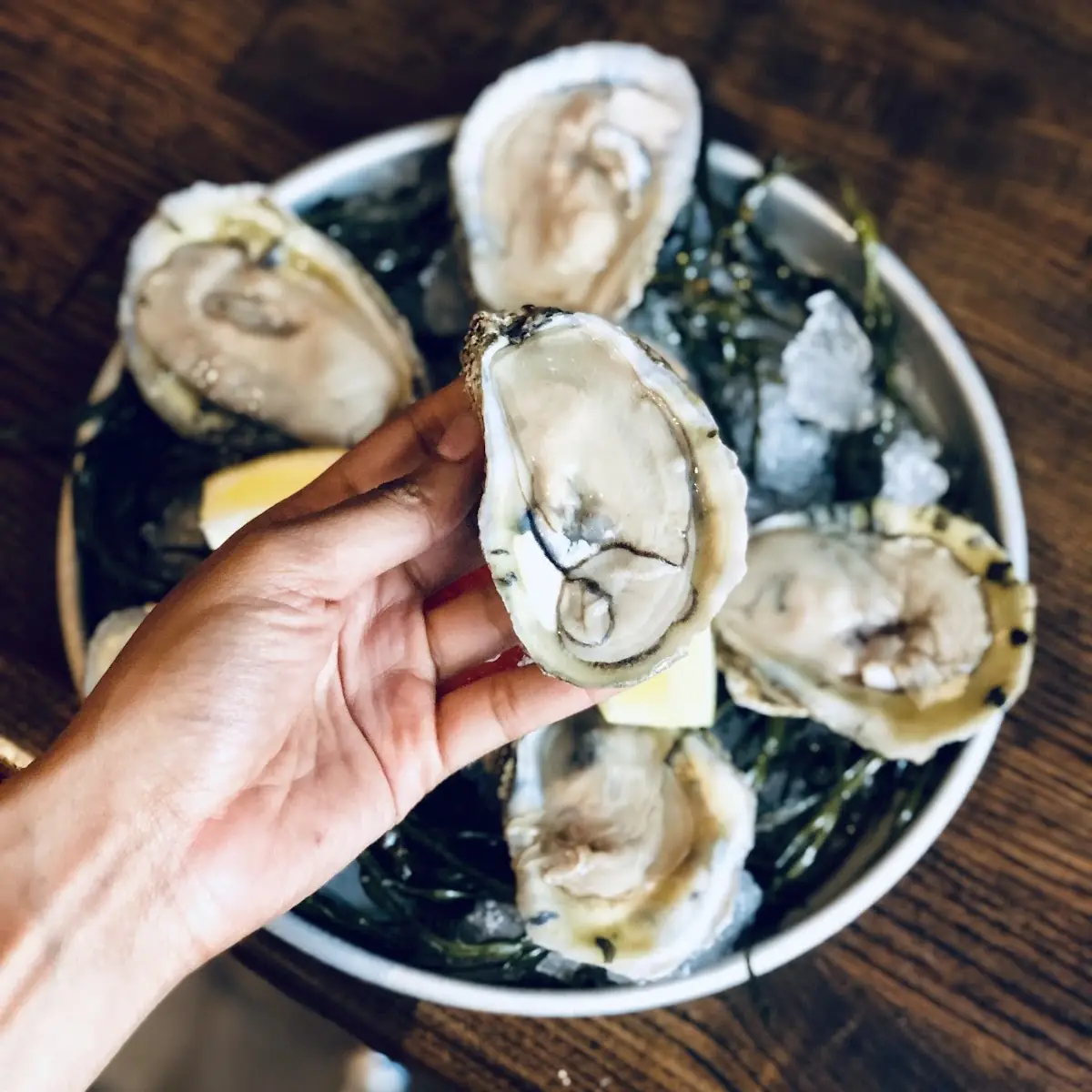 East Coast Oysters