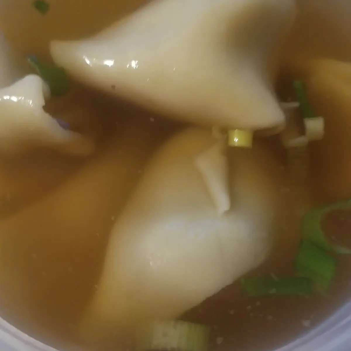 Wonton Soup