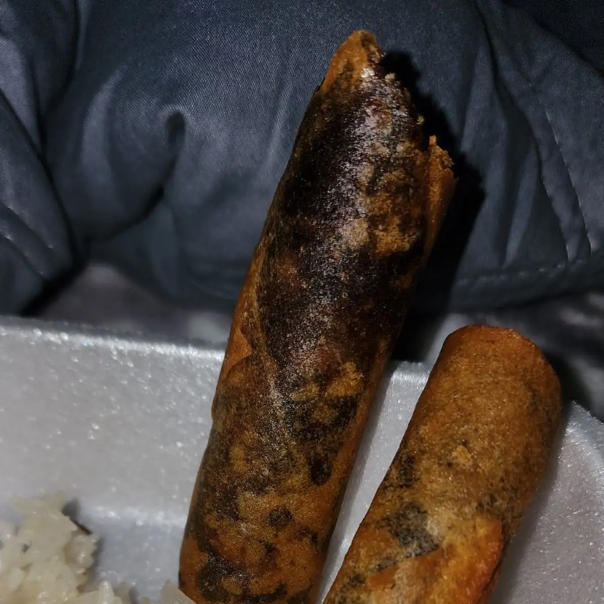 Burnt Egg Rolls