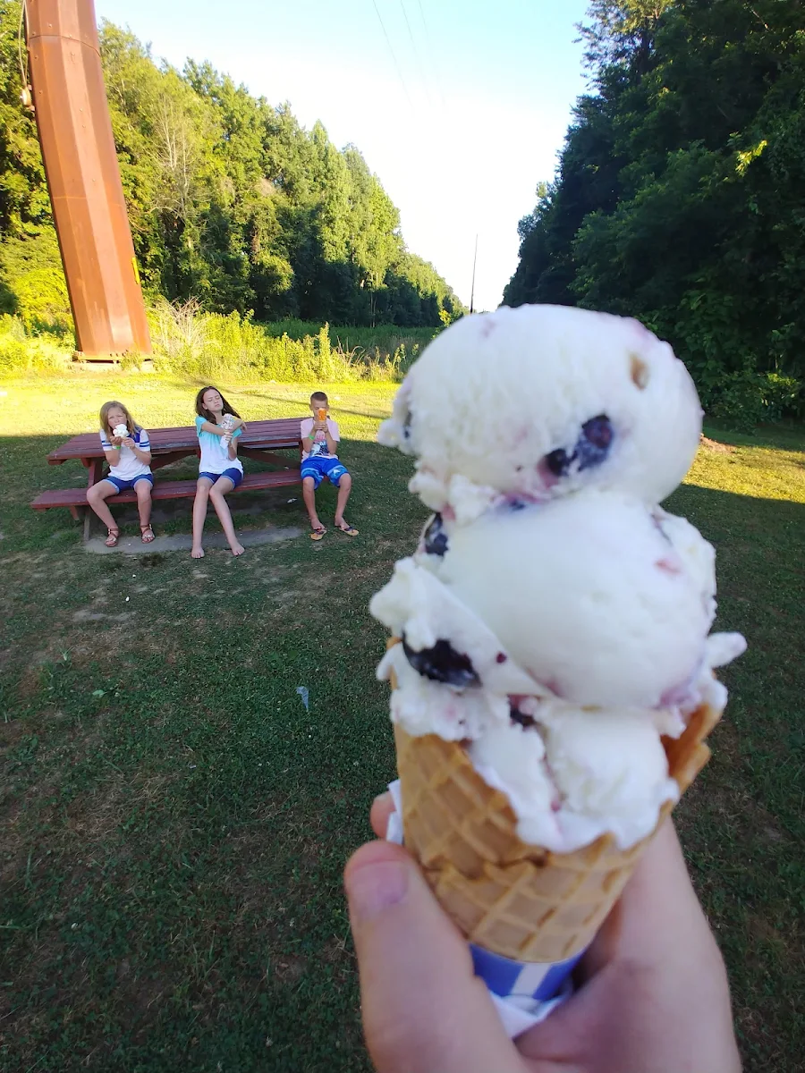 Blueberry Vanilla Ice Cream