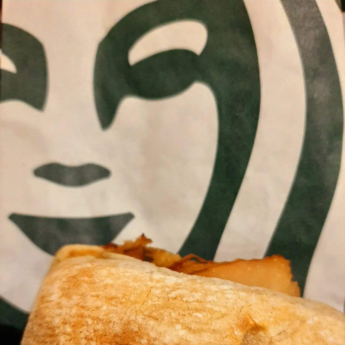 Turkey & Stuffing Panini