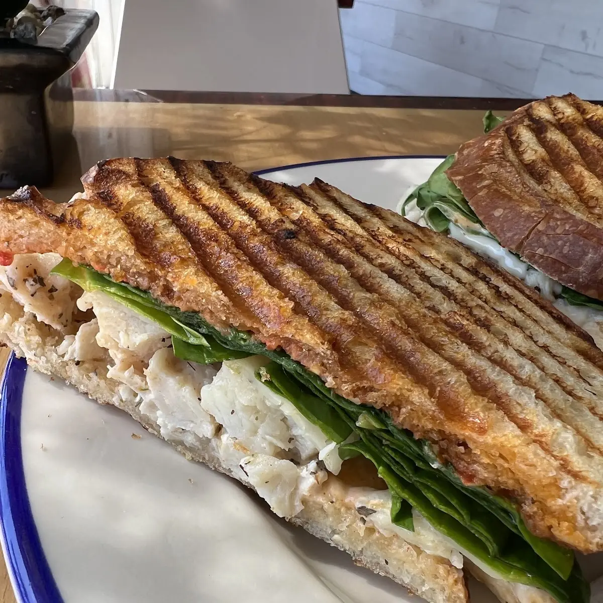 Chicken Panini Special