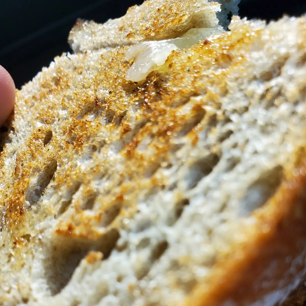 Grilled Cheese Sandwich