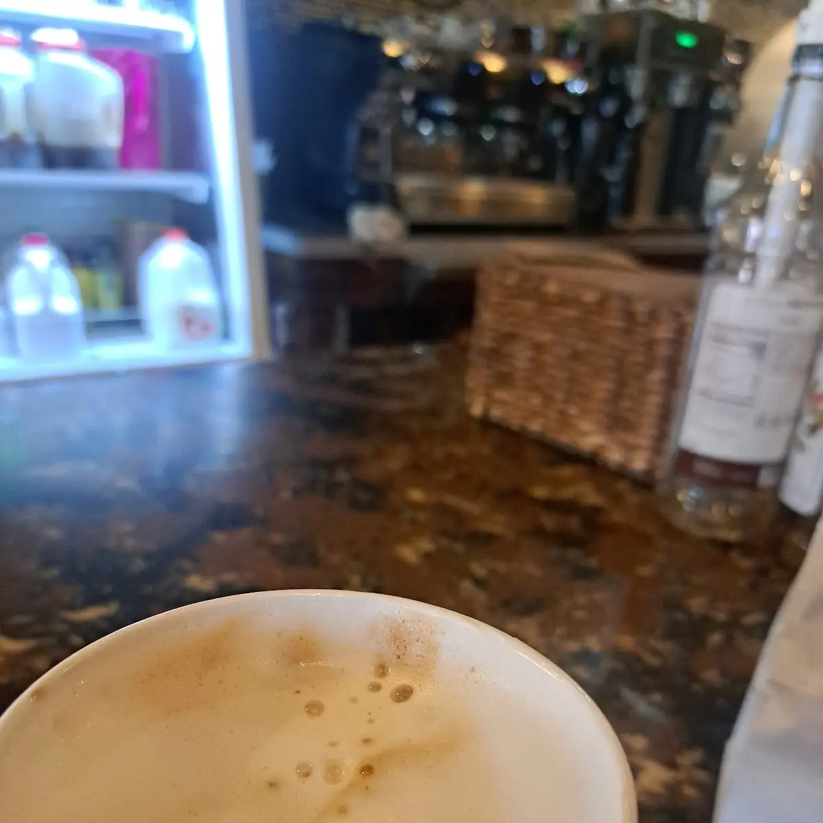 Cappuccino Medium 16 Oz