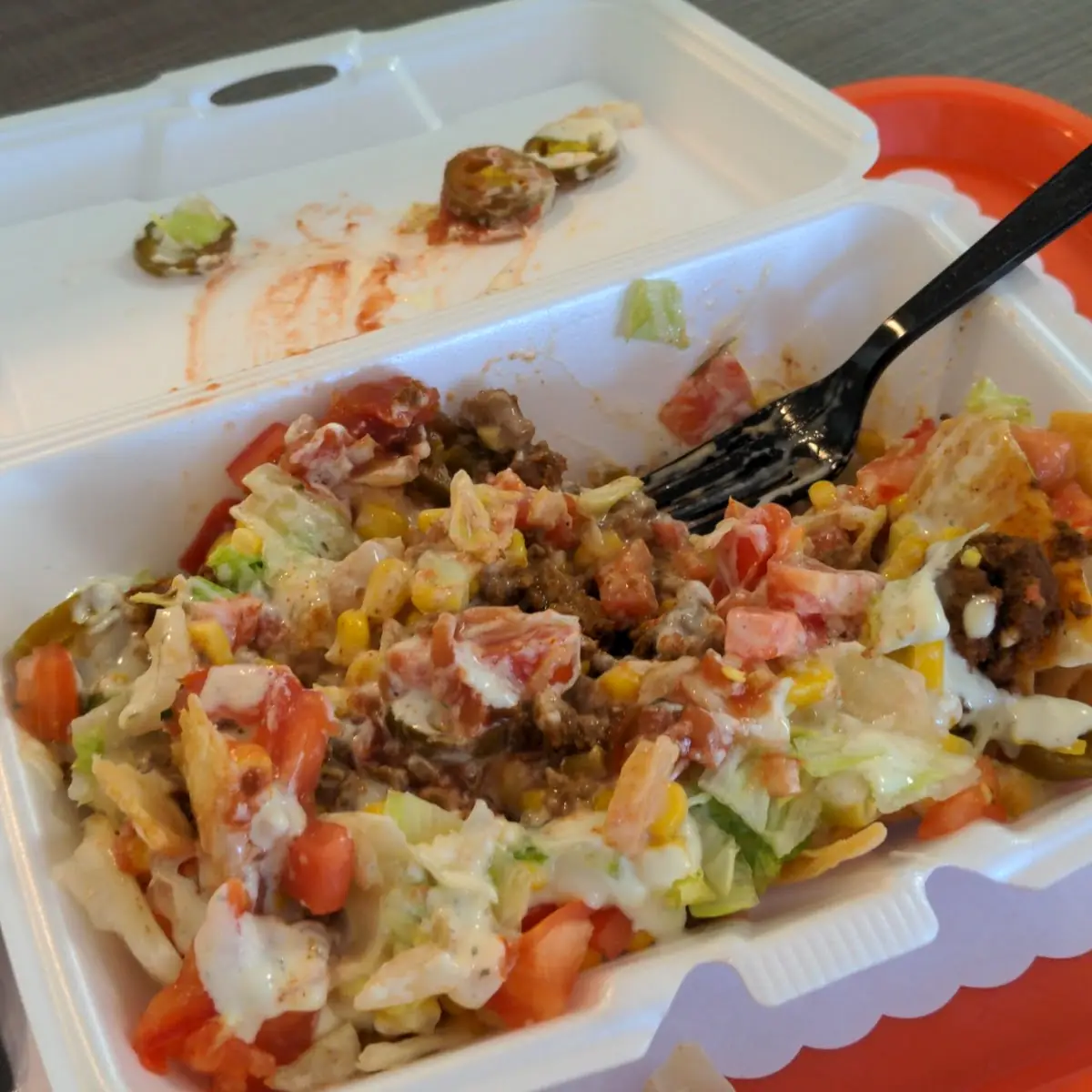 Carne Asada Fries