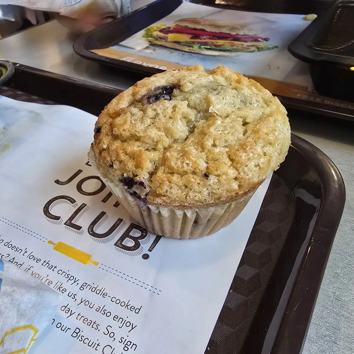 Blueberry Muffin