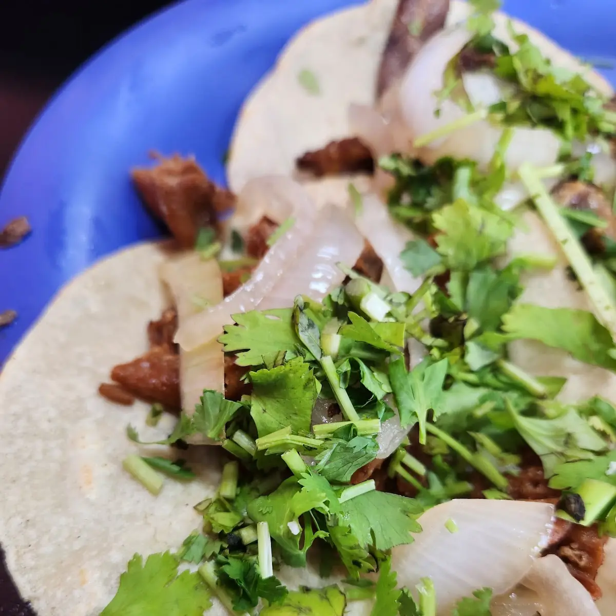Tripa Taco