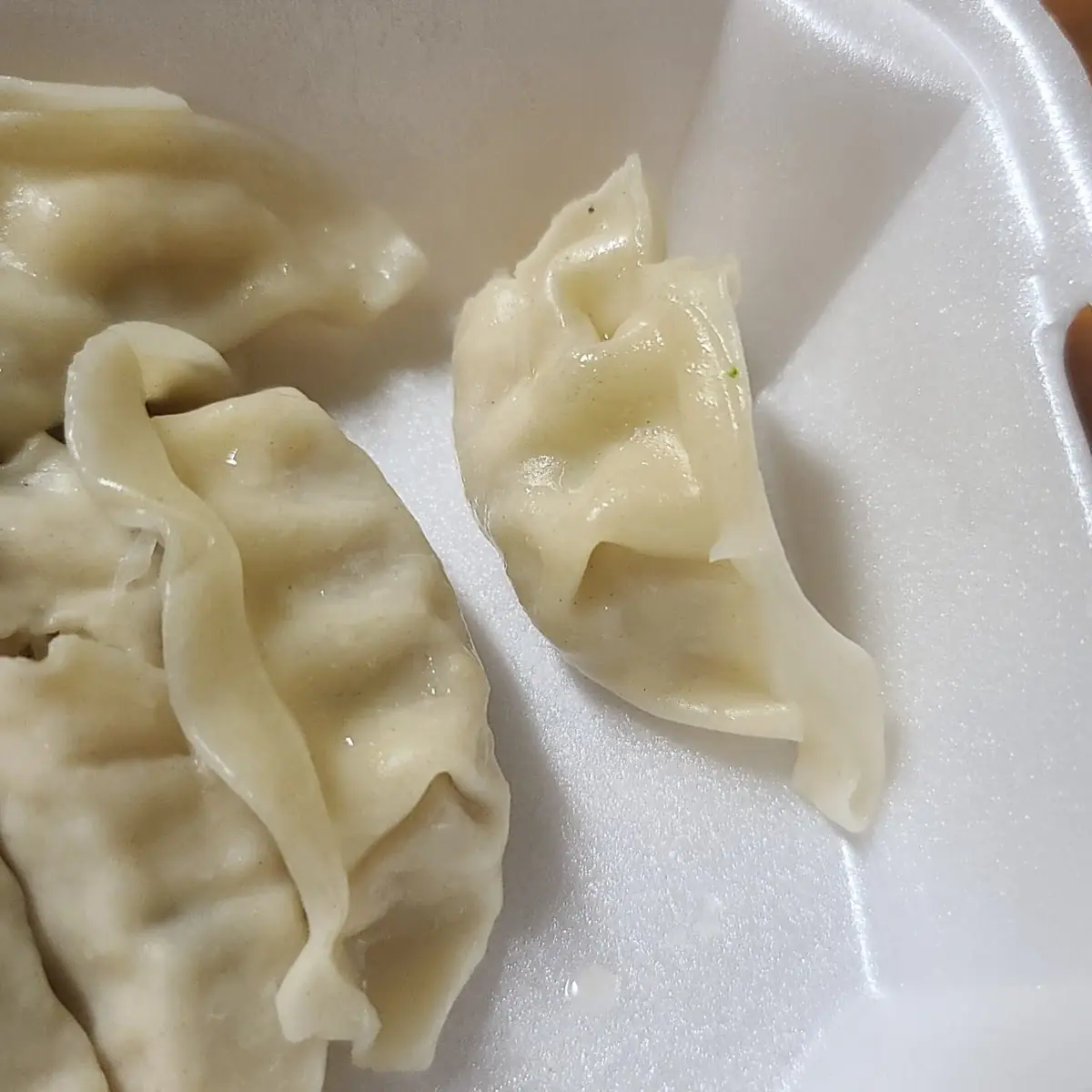 Steamed or Fried Dumplings