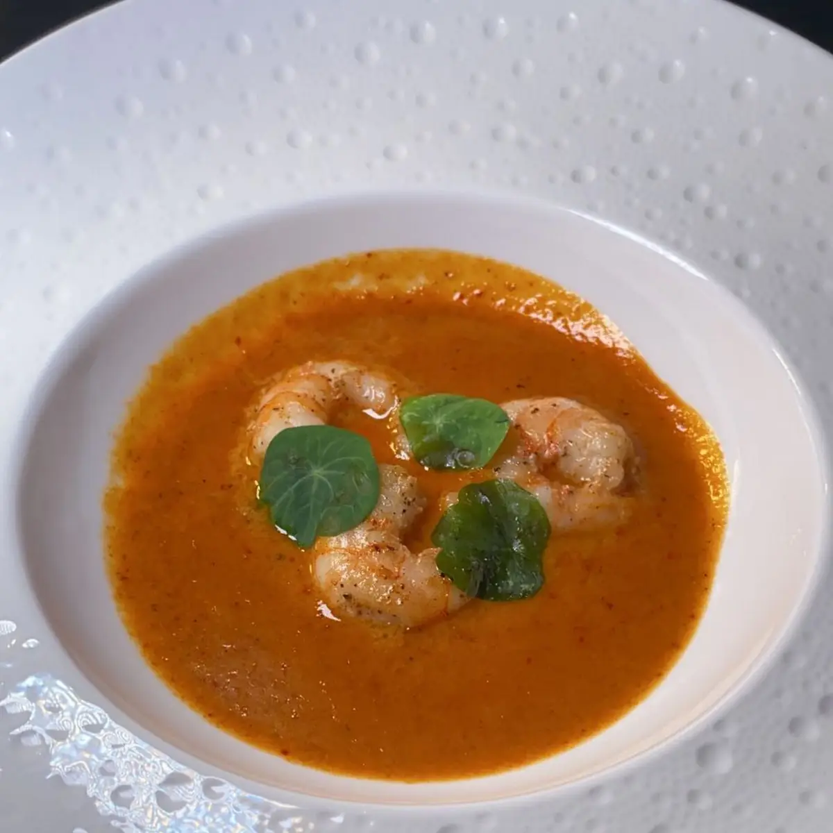 Tomato Soup