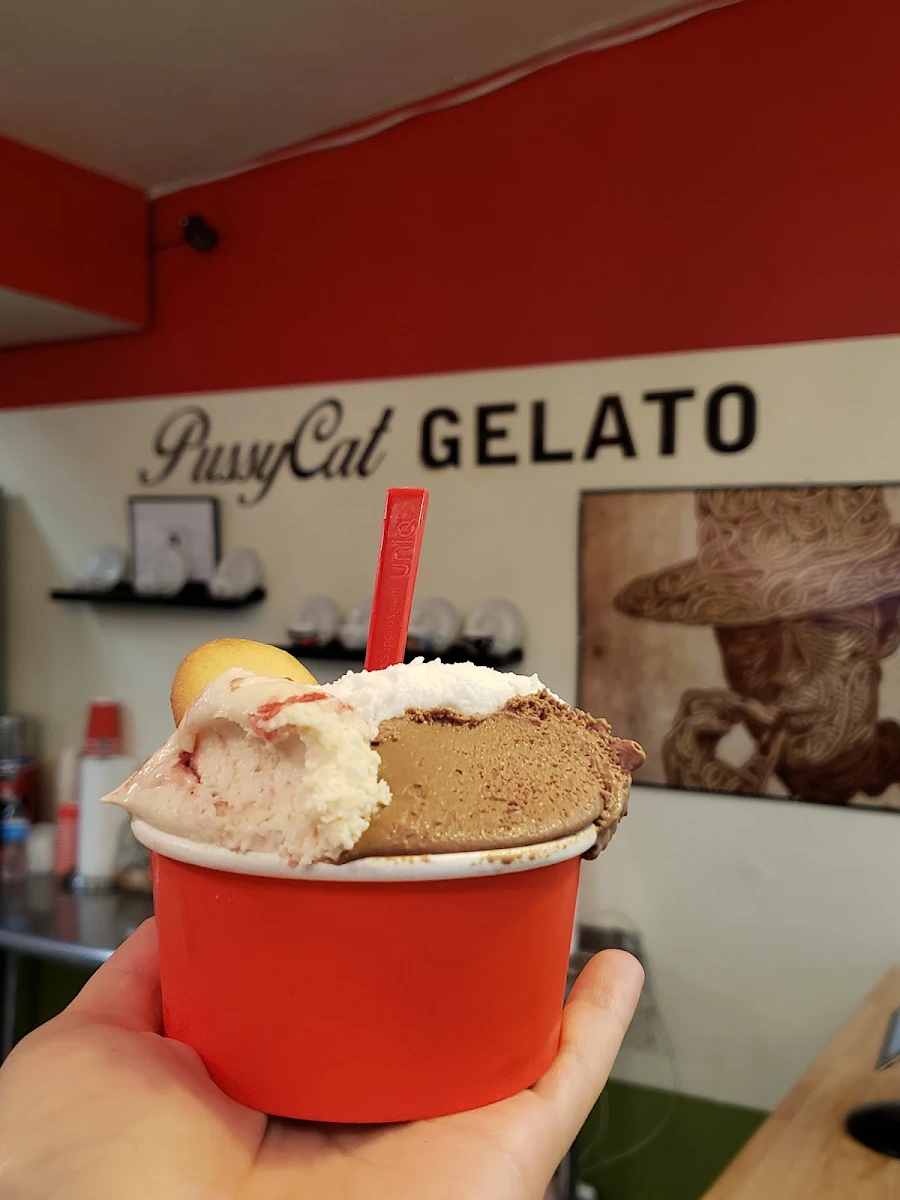 Chocolate Hazelnut Gelato