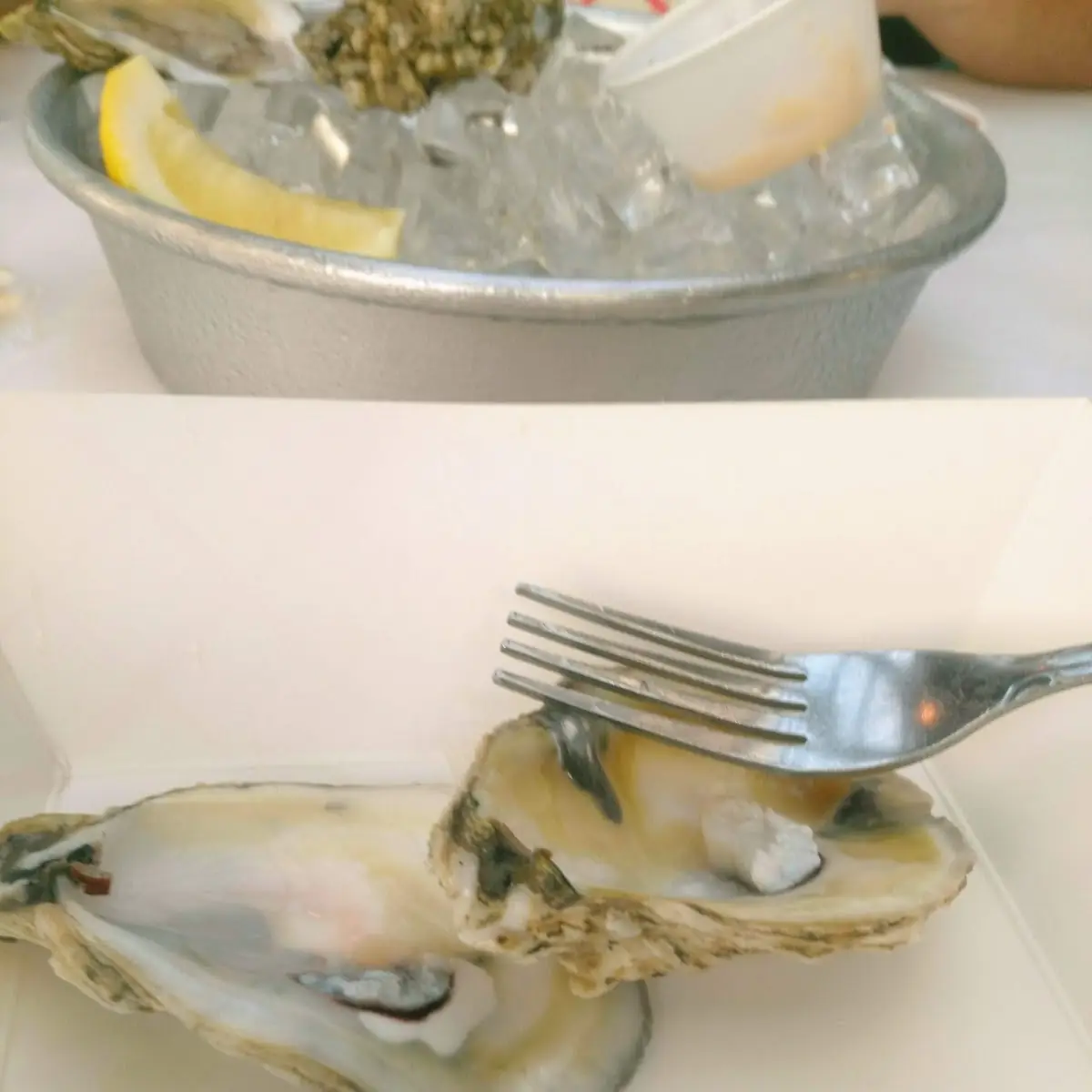Raw Oyster