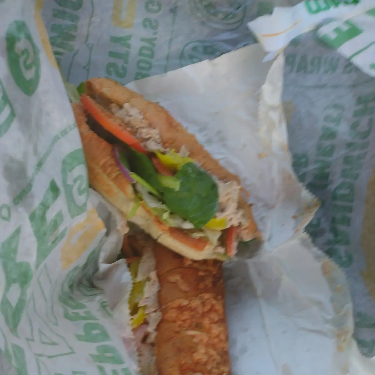 Veggie Delite Sandwich
