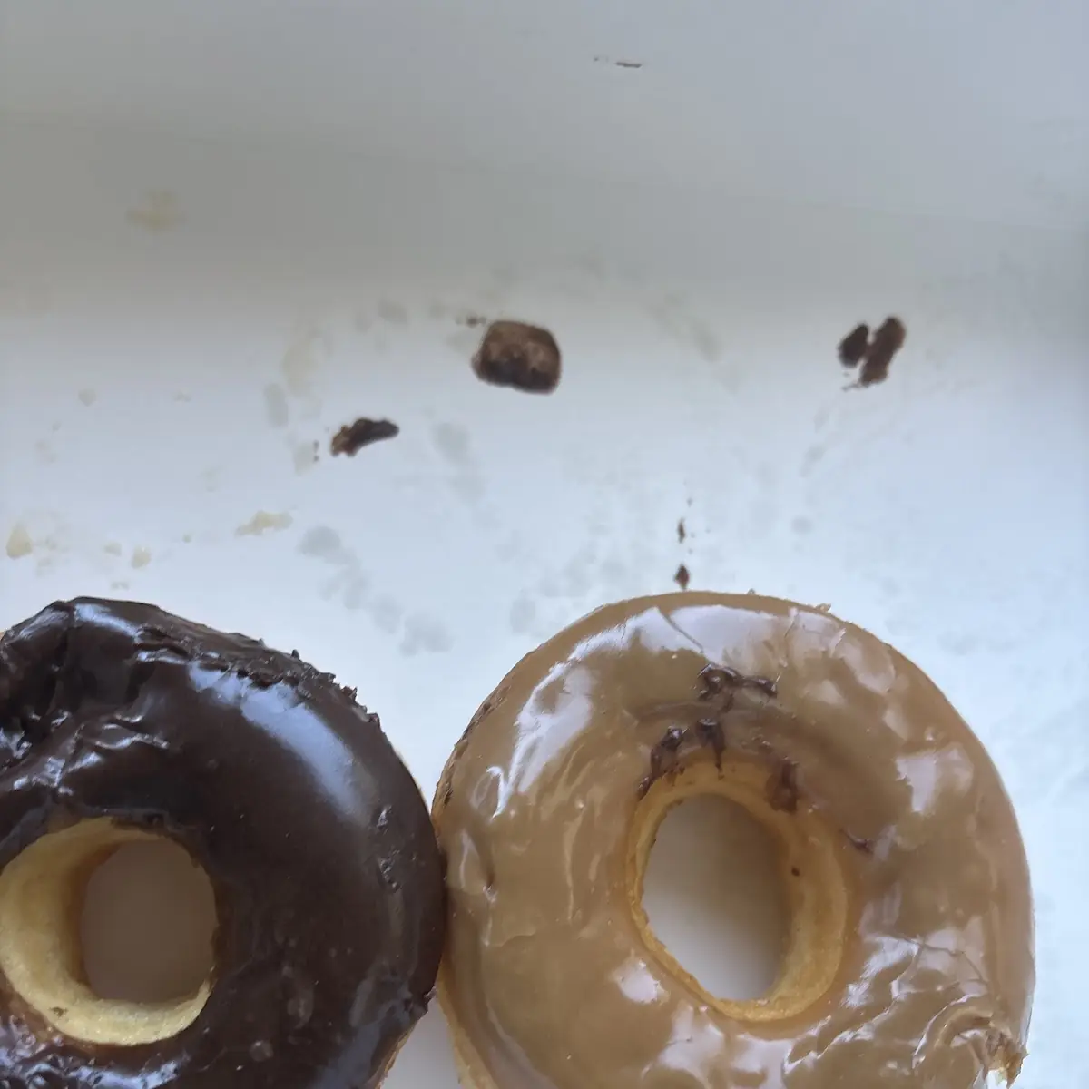 Half Dozen Donuts