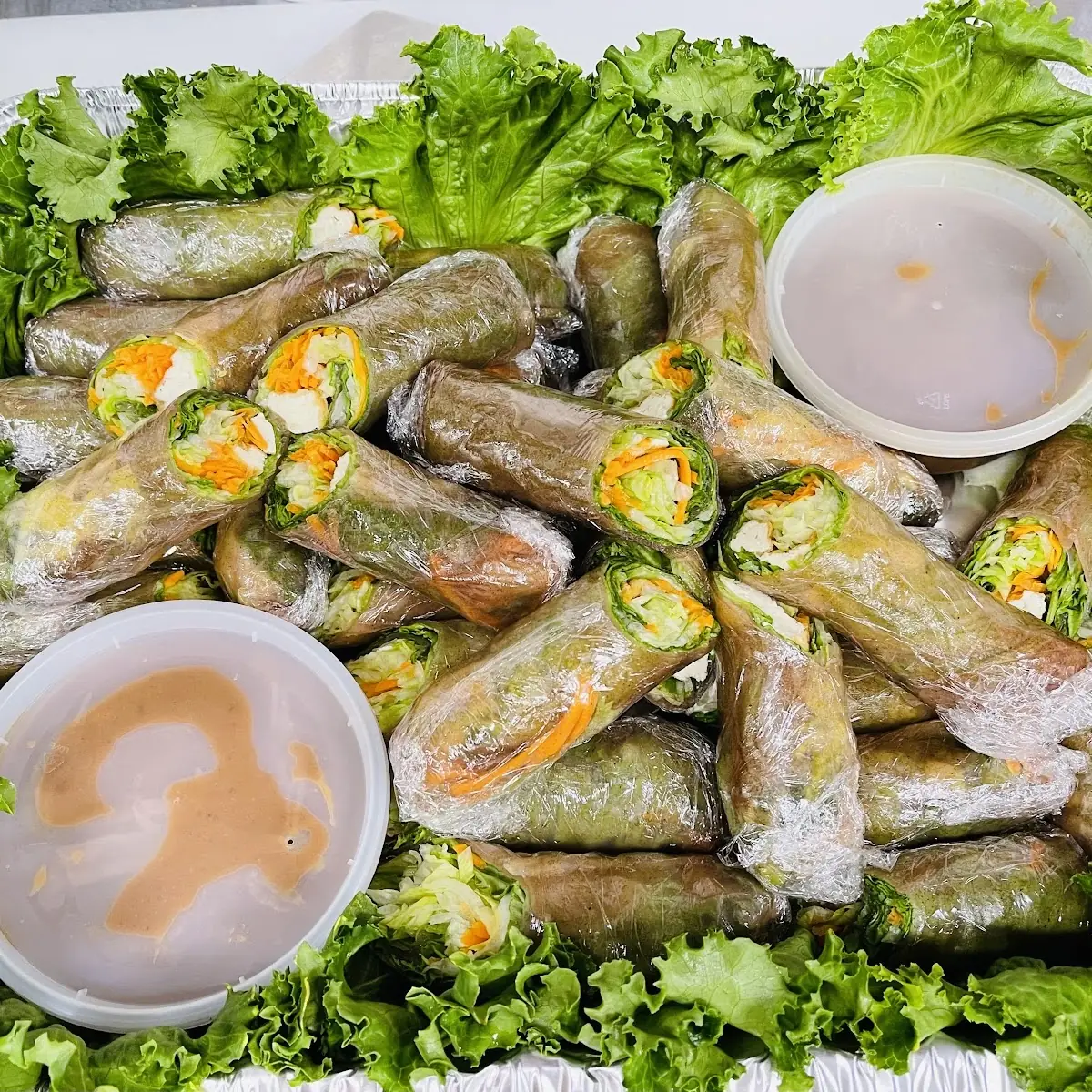 Grape Leaves