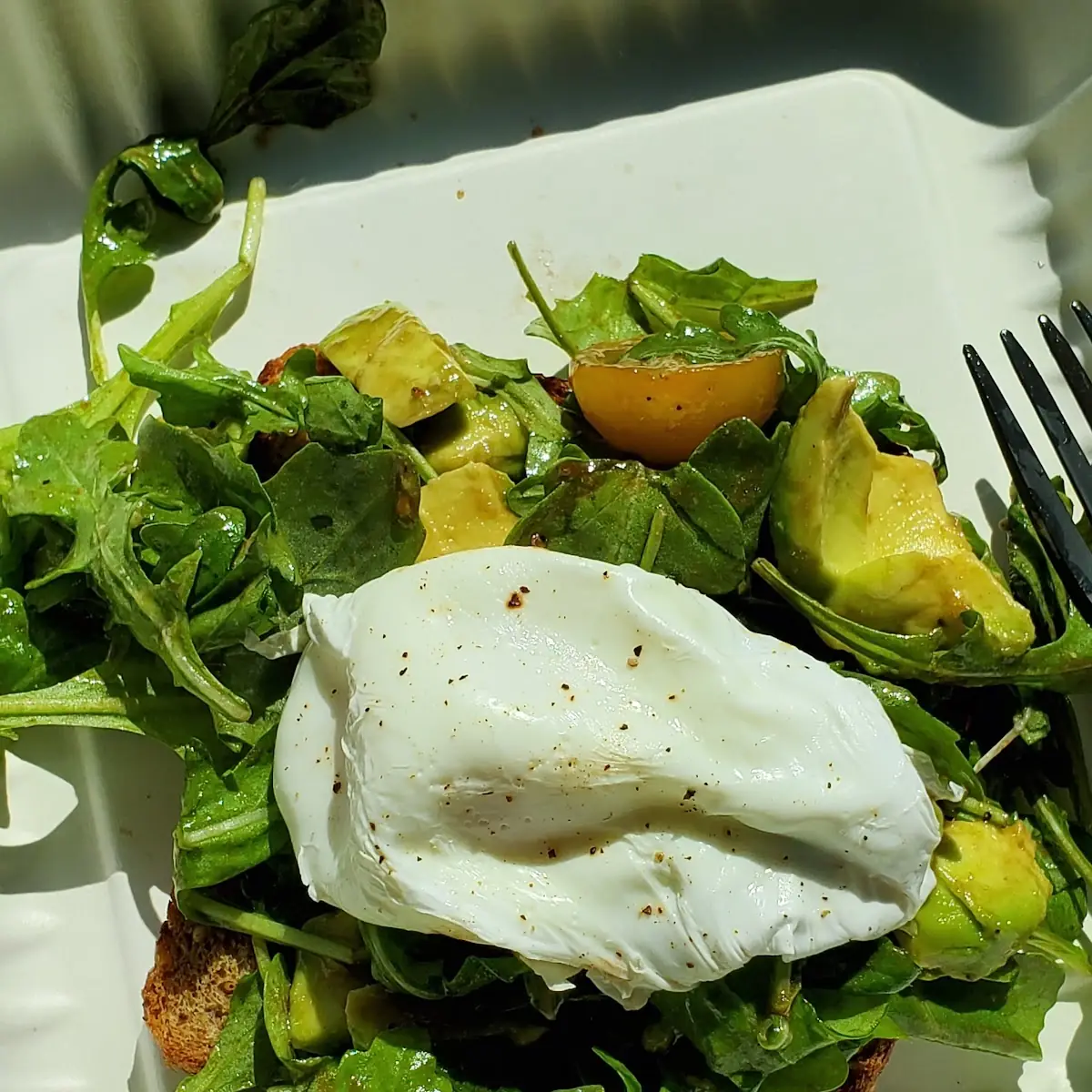 Toast with Poached Egg