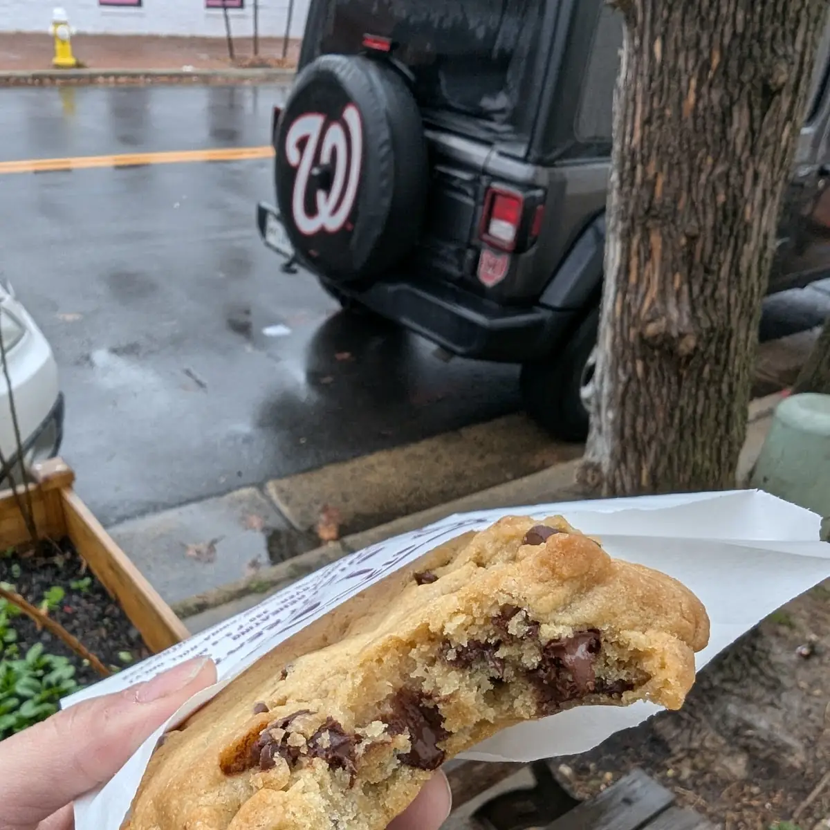 Monster Chocolate Chip Cookie
