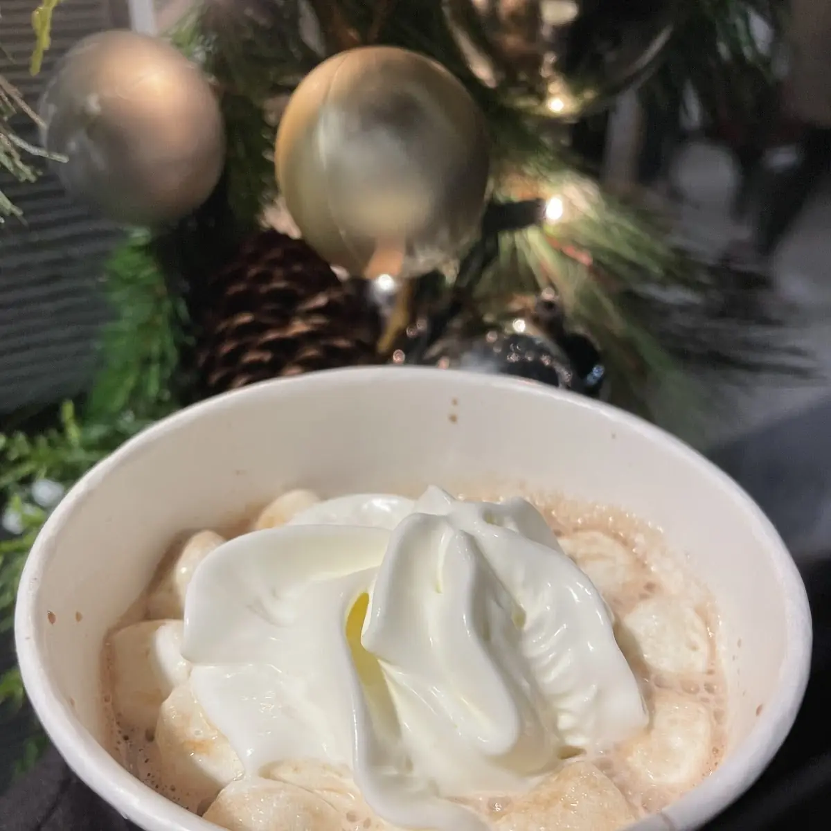 Hot Chocolate Covered Pretzel