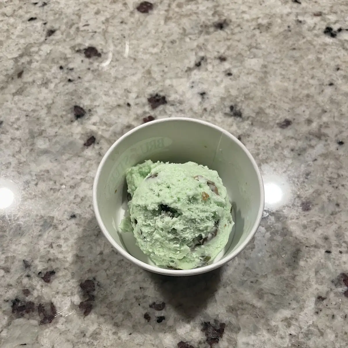 Mint Chocolate Chip