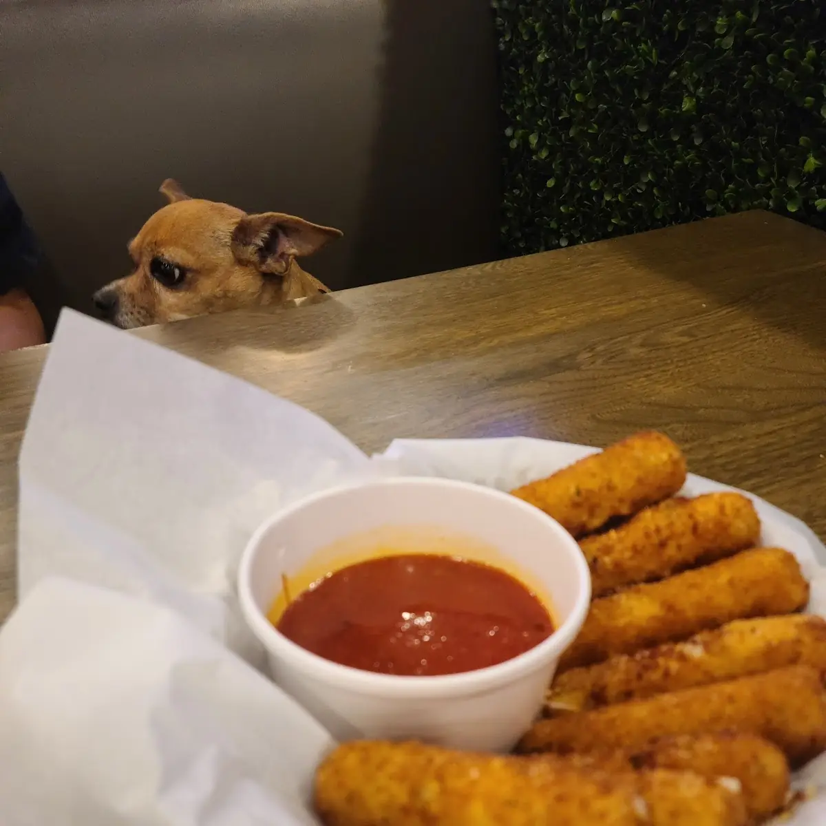 Mozzarella Sticks