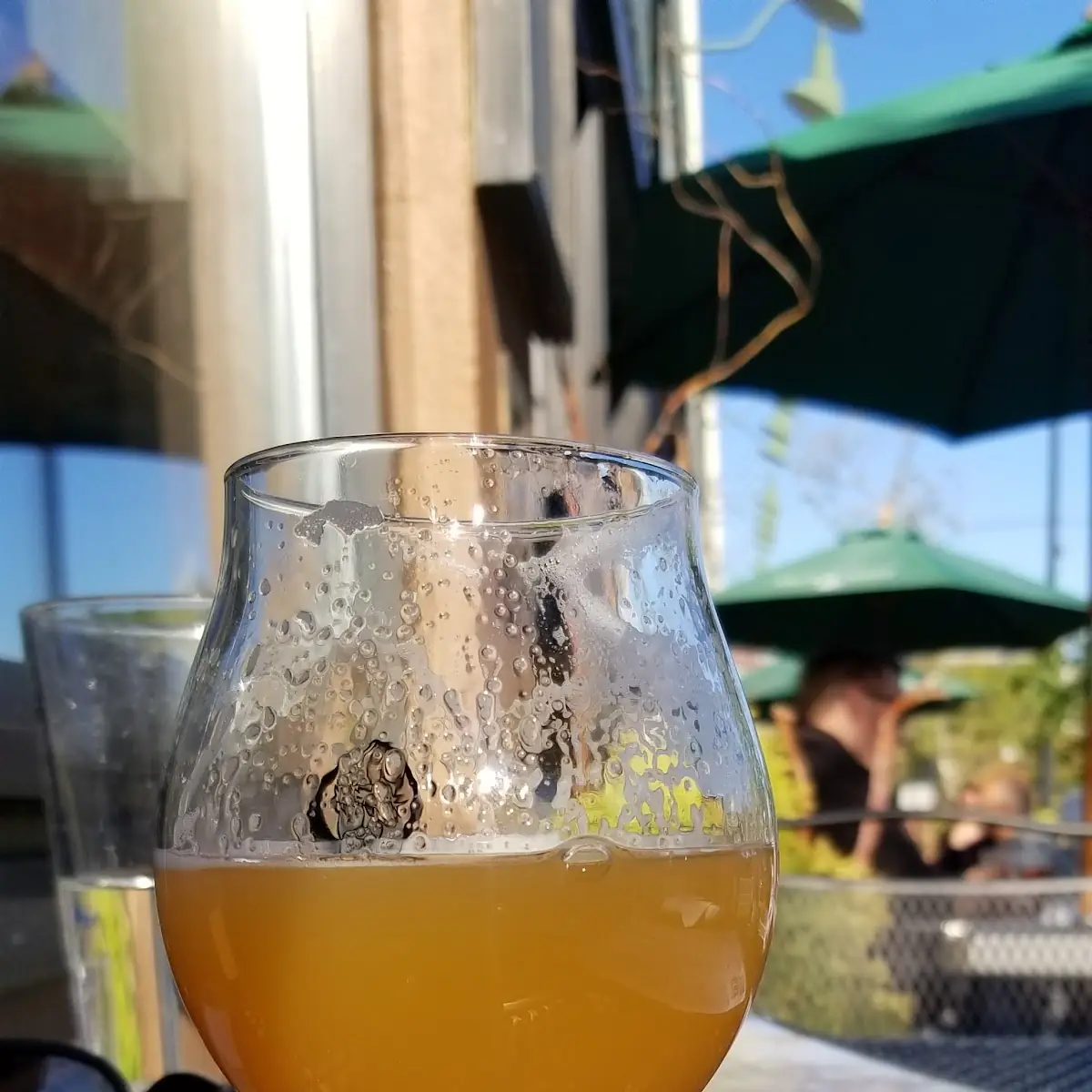 Apricot-IPA BBQ