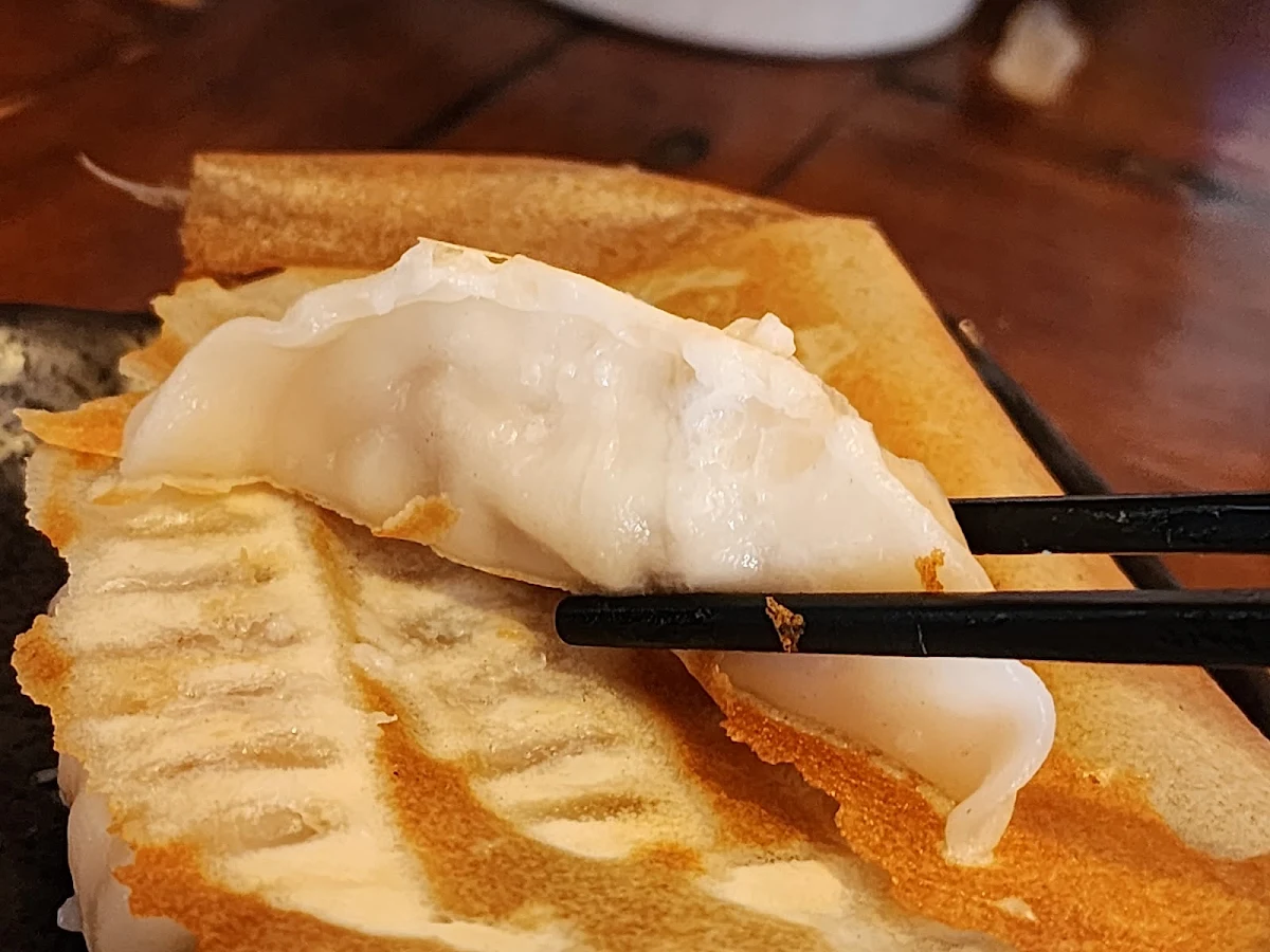 Pan Fried Gyozas