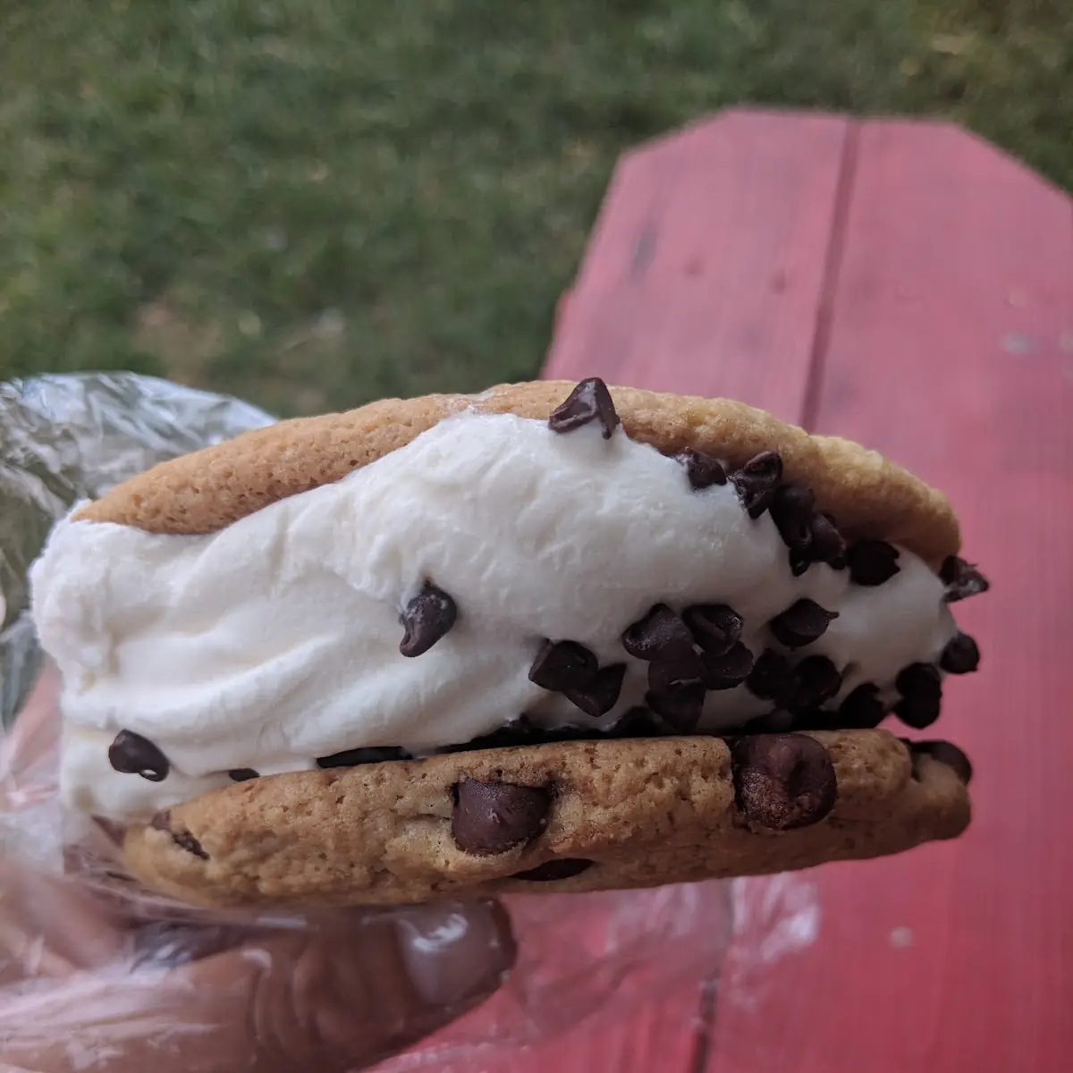 Ice Cream Sandwich