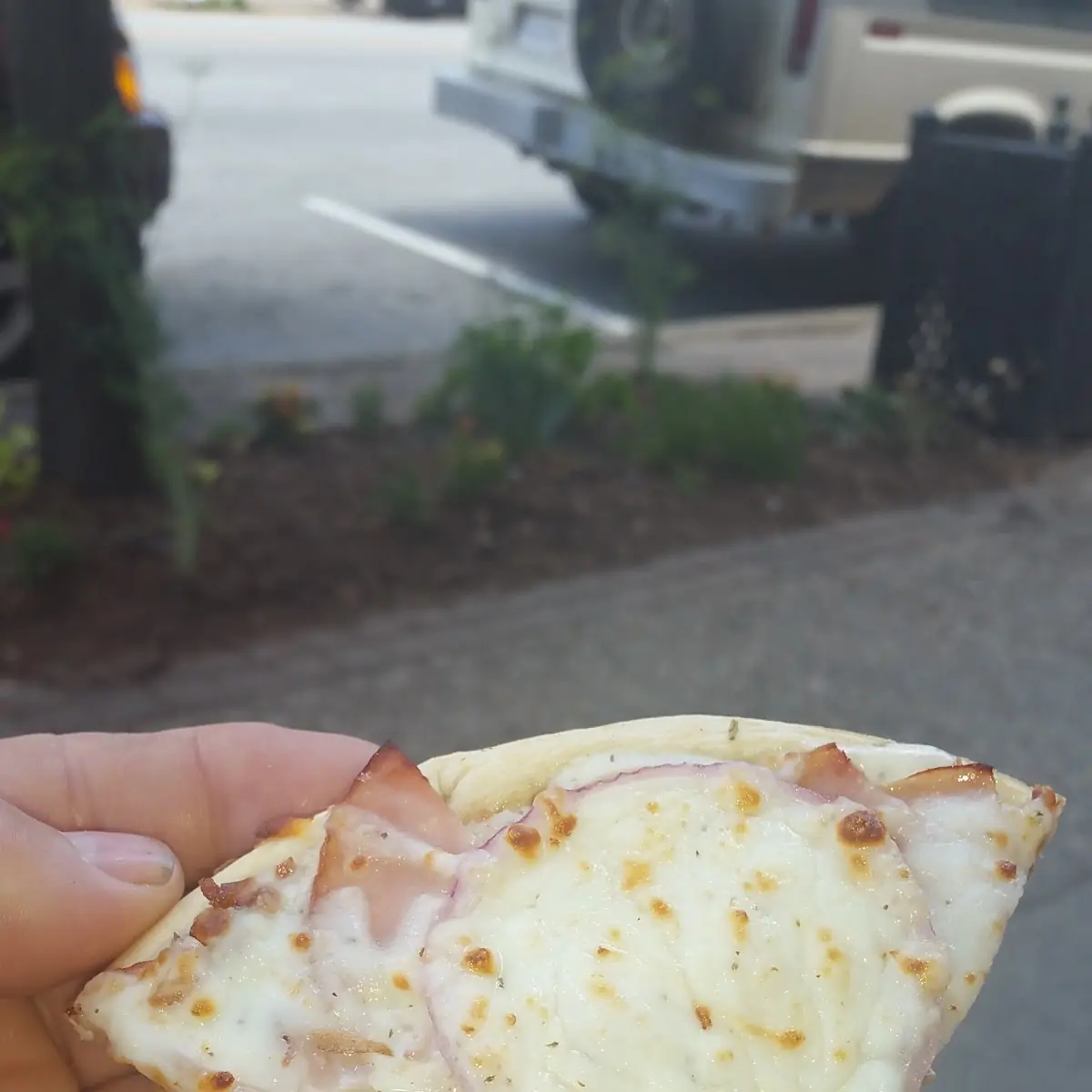 Chicken Bacon Ranch Pizza