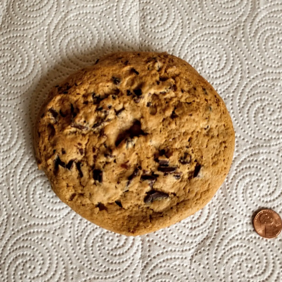 Chocolate Chip Cookie