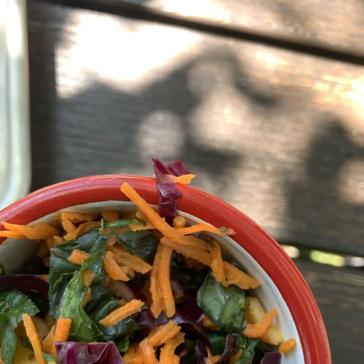 Kale Carrot Apple Slaw