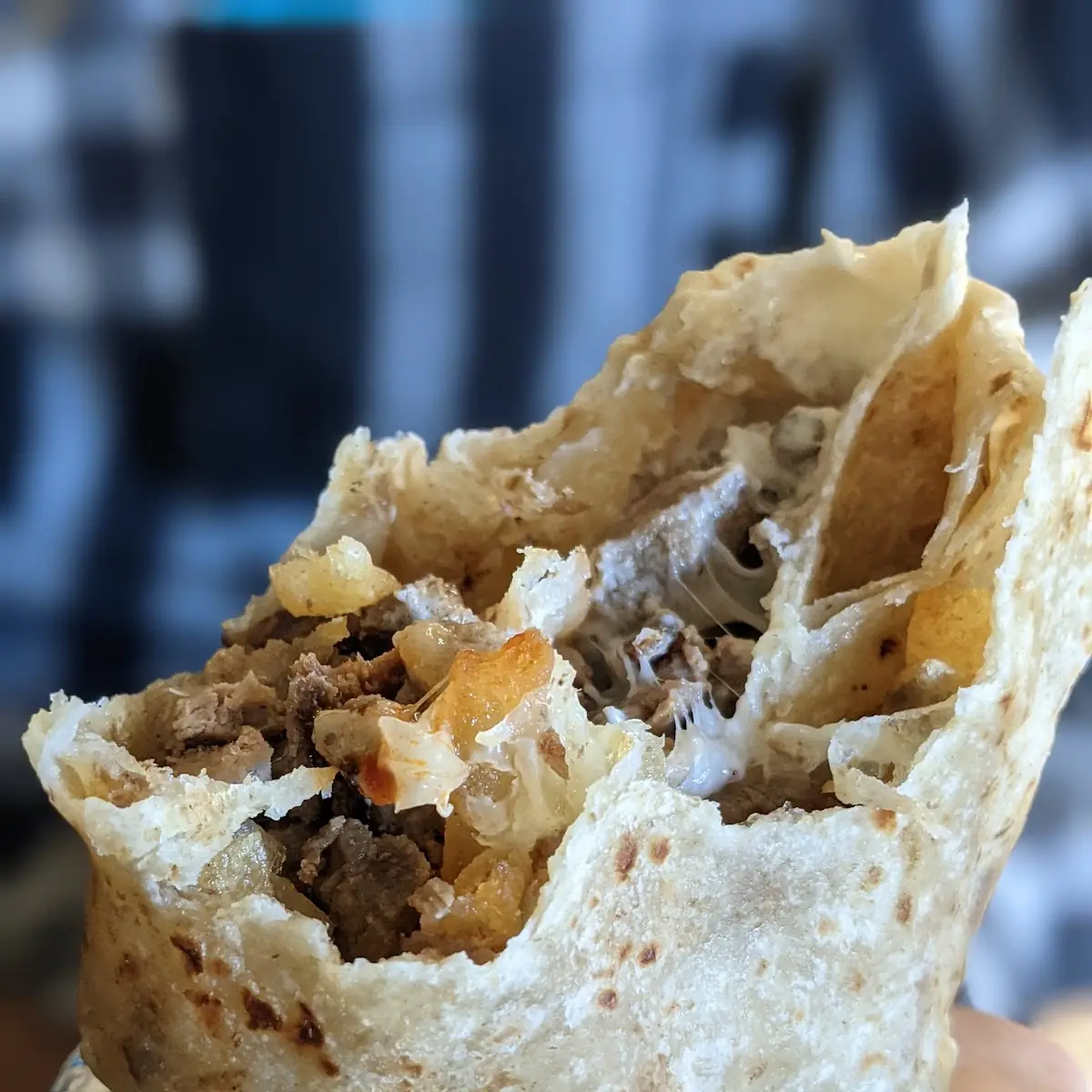 Carne Asada Burrito