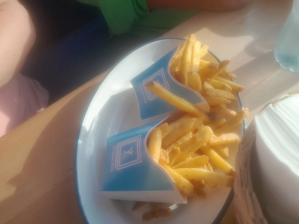 Chips with Meal, The Yiros Shop - Morayfield