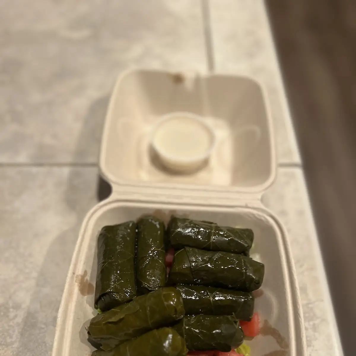 Falafel & Dolmas