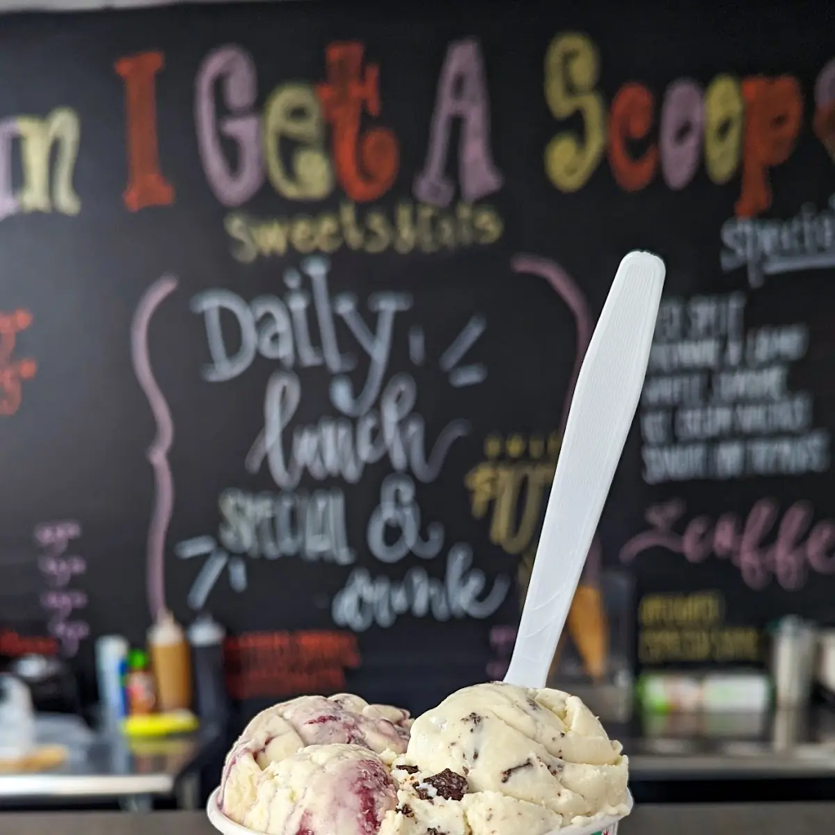 One Scoop Dish Half Blackberry Lemon Bar Half Coconut Almond Bliss