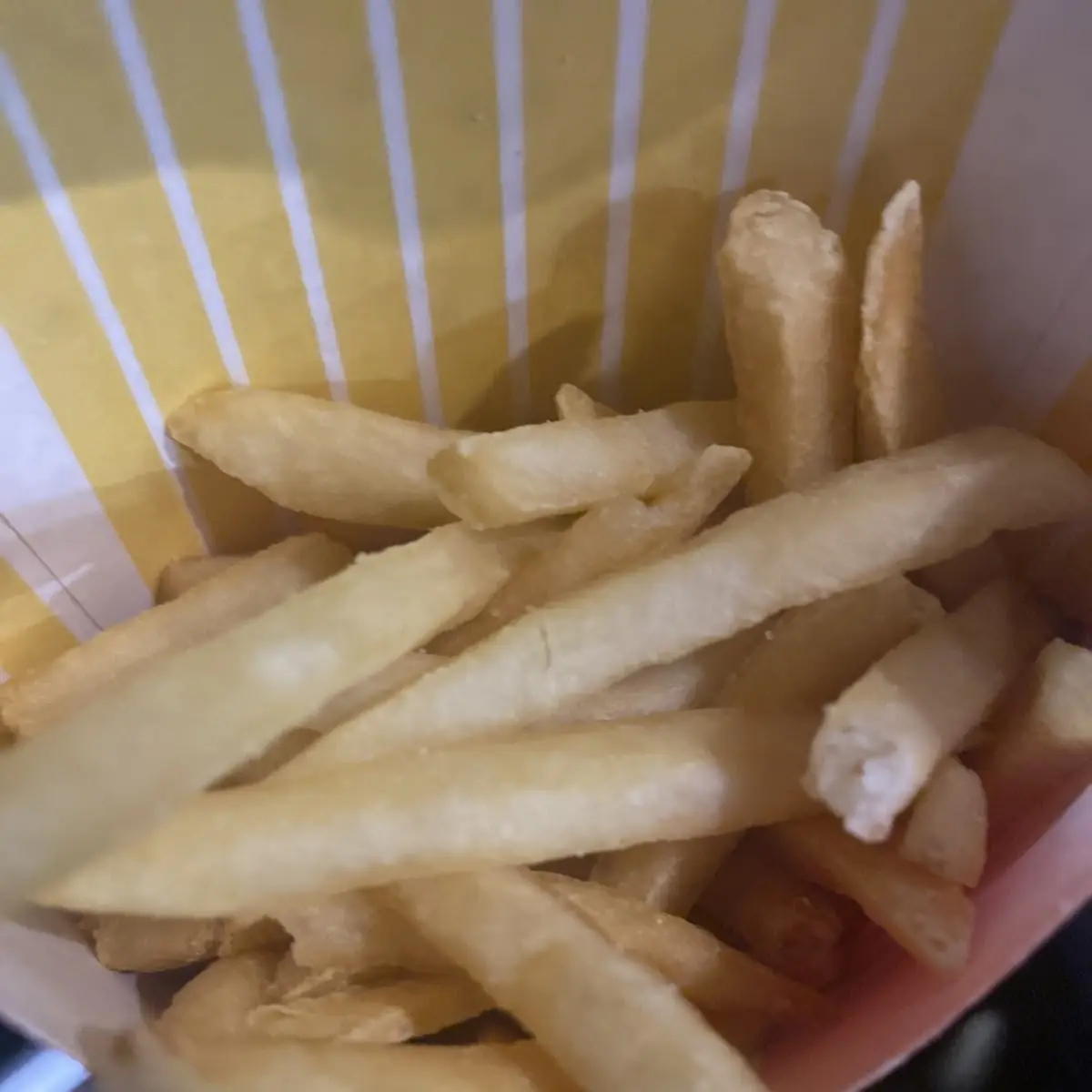 World Famous Fries