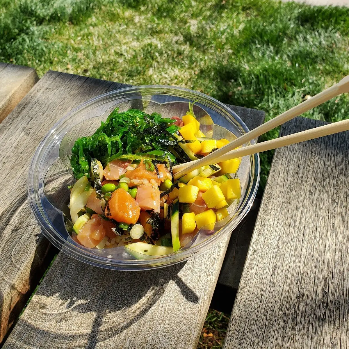 Large 3 Scoop Protein Bowl