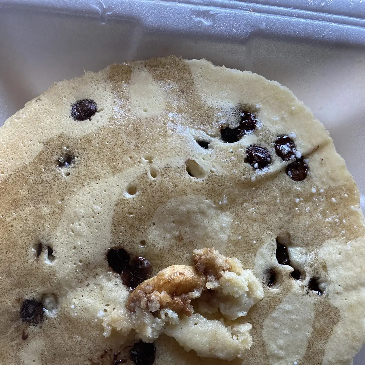 Chocolate Chip