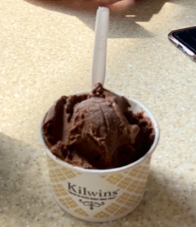 Double Chocolate Ice Cream