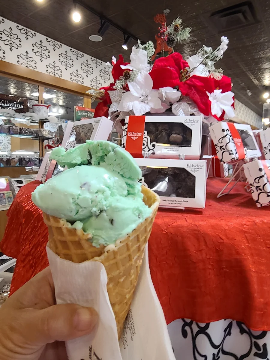 Mint Chocolate Chip