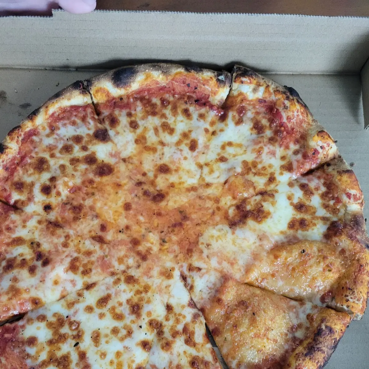 Cheese Pizza