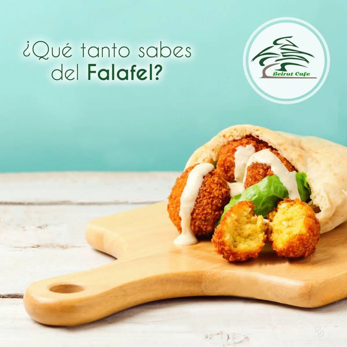 Falafel 3 pcs