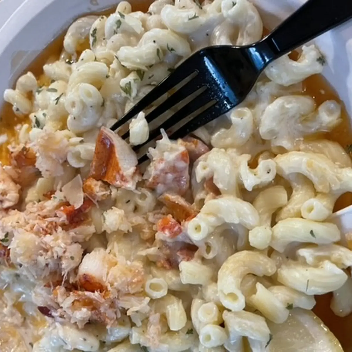Lobster Mac and Cheese