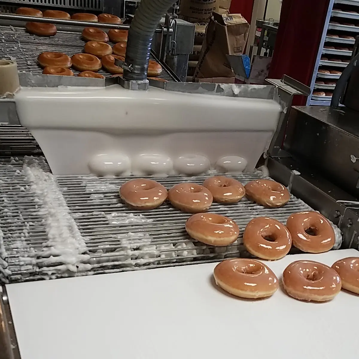 Hot Glazed Doughnuts
