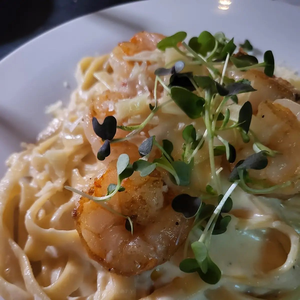 Shrimp Alfredo