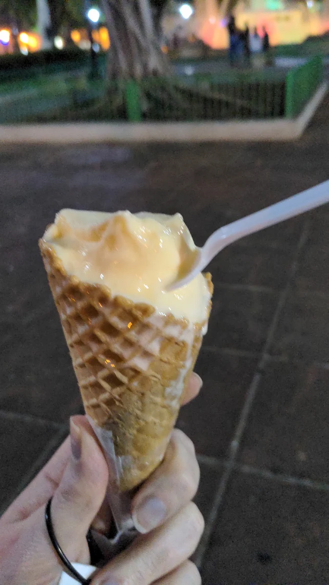 Vanilla Ice Cream